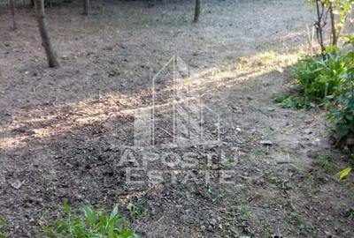 Casă veche în Timișoara  cu teren generos 806 mp - 2