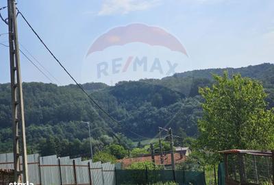 Casă cu 4 camere cu Teren 1371 Mp în Crivina - 3
