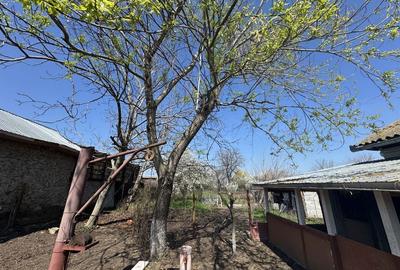 Casă cu 4 camere în Slobozia - 5