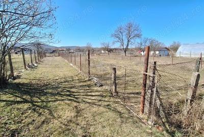 Spațiu comercial, în Lăzărești (Schitu Golești) - 4