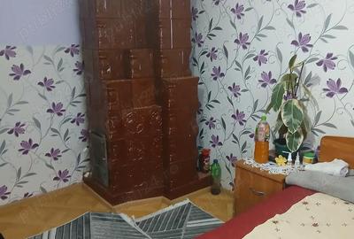 Casă cu 4 camere cu Teren 6000 Mp în Havârna - 8