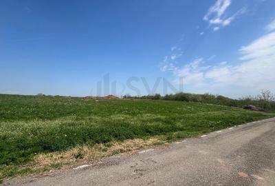 Teren Construcții intravilan de 15000 mp, în Snagov - 3