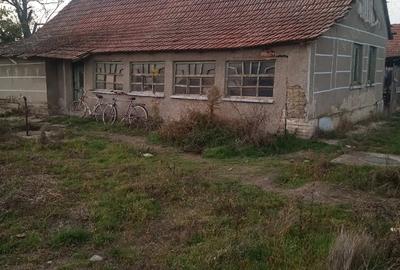 Case de vinzare in jude?ul Arad - 1