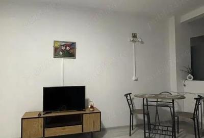 Garsoniera pantelimon-lidl-terasa marius-modern-mega mall - 3