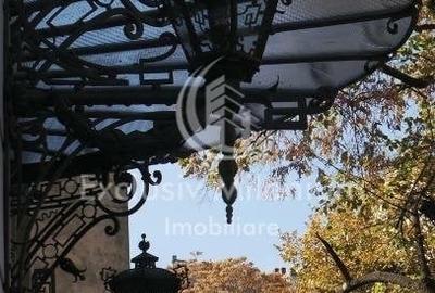 Universitate Birouri  / Piata Rosetti Mansarda Vila - 4