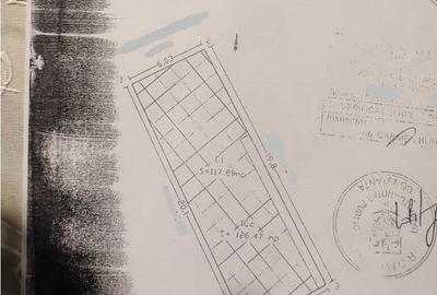 Casa/ Birouri Tomis 2 - 14