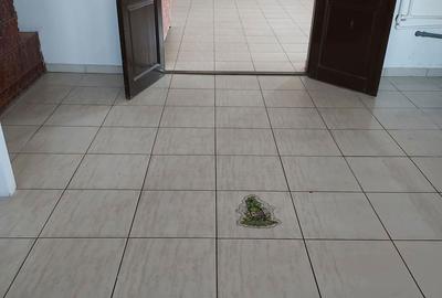 Spațiu comercial, de 100 mp, în Dumitrești - 3