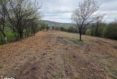 Teren de 6704 mp, în Hărău - 11