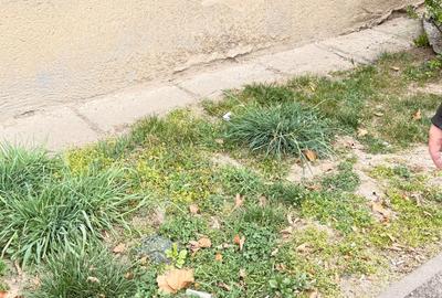 Apartament cu 4 camere decomandat în Central - 13