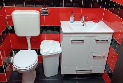 Apartament cu 2 camere în Roșu - 7