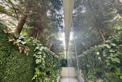 Apartament cu 5 camere decomandat, mobilat în Herăstrău - 15