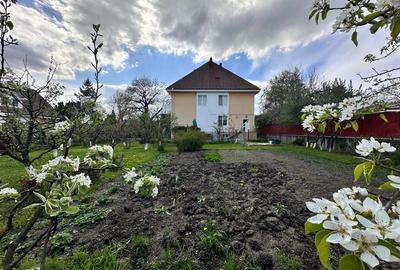 Casă individuală cu 10 camere cu Teren 2418 Mp în Central - 15