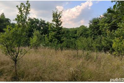 Teren de 1290 mp, în Scorțeni - 2