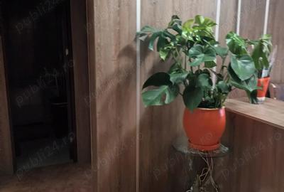 Apartament Turnu Magurele - 3