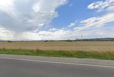 Teren agricol extravilan de 5550 mp, în Sud - 3