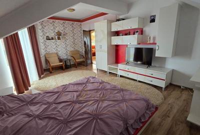 De Vanzare Casa Paulestiului 9 ari teren - 8