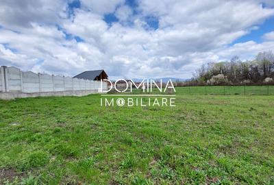 Teren Construcții intravilan de 765 mp, în Nord-Est - 2