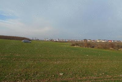 Teren de 12113 mp, în Vidra - 3