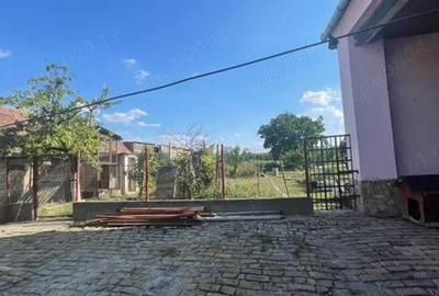 Casa storica jimbolia - 6
