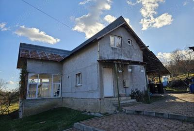 Casă cu 3 camere cu Teren 6772 Mp în Ursoaia - 2