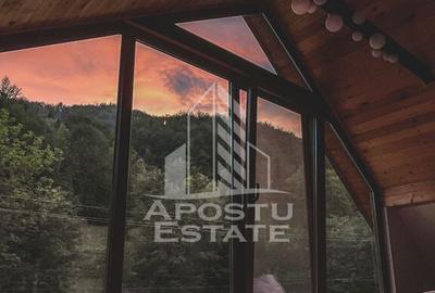 Casă cu 7 camere cu Teren 22000 Mp în Târsa - 4