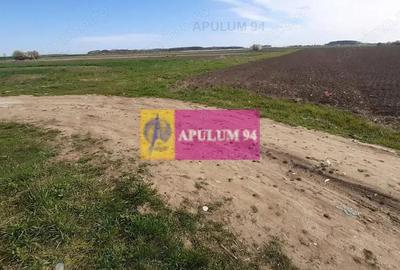 Teren 450mp pentru construc?ie casa - 17
