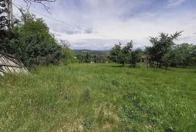 Teren intravilan 7759 mp in Curtea de Arges zona Noaptes - 5