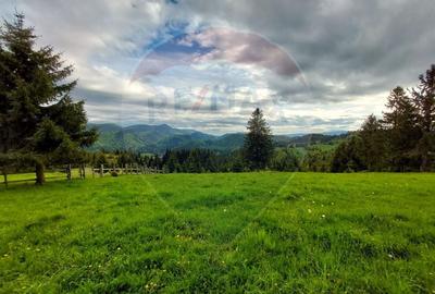 O fereastra catre cer - teren de vis in Fundata, la poalele Bucegilor - 20