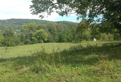 Spațiu comercial, în Provița de Jos - 1