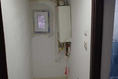 Colentina Parcul Plumbuita, Sector 2 București. - 3