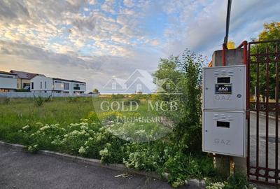 Teren - Oras Otopeni  -Mega Image - 5