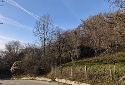 Teren intravilan Breaza 4,000mp cu  utilitati. Panorama superba. Intimitate. - 16