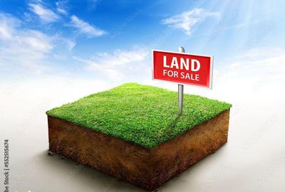 Spațiu comercial, în Hăghig - 1