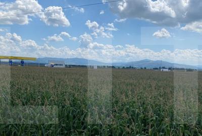 Oportunitate teren 1HA, front 191 m, Reci, nod de tranzi - 1