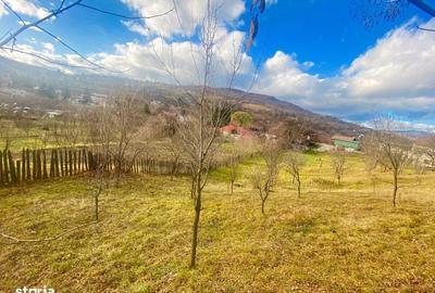Spațiu comercial, în Valea Doftanei - 12