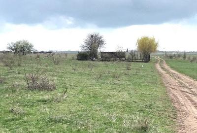 Teren de 1000 mp, în Ghercești - 2