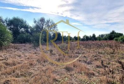 Oportunitate de investitie , de vanzare teren 18800 mp in zona Plopi. - 2