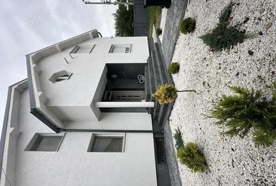 DE INCHIRIAT Vila spa?ioasa D+P+M in Timi?oara - 2