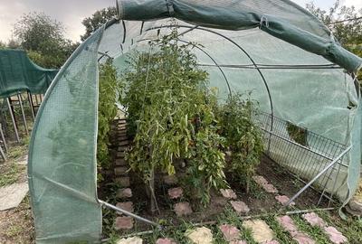 Casa | 9 camere | Garaj | Piscina | Teren 3.000 mp | Comision 0% - 41