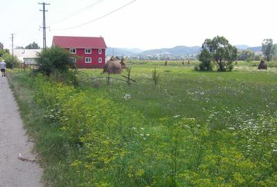 Spațiu comercial, în Central - 2