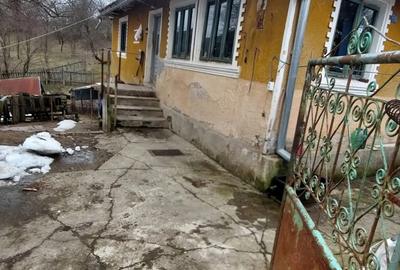 Casă cu Teren 3000 Mp în Nadanova - 4