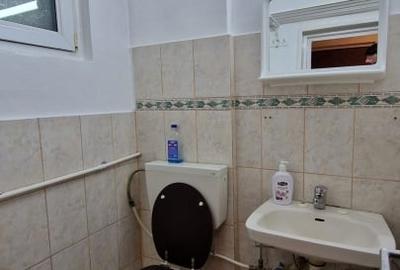 Apartament cu 3 camere decomandat în Parcul Circului - 16