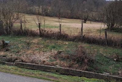 Teren de 3140 mp, în Petriș - 6