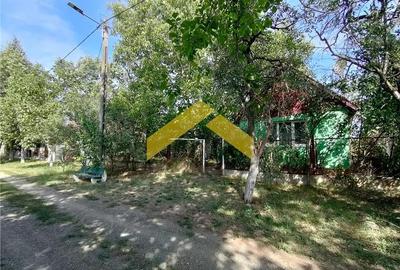 Casa de vanzare in Bodrogu Vechi - 9