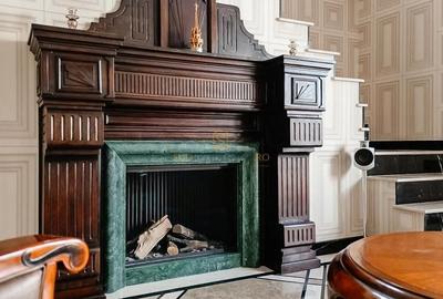 Apartament exclusivist tip duplex, 7 camere + curte, zona Parcul Carol - 7