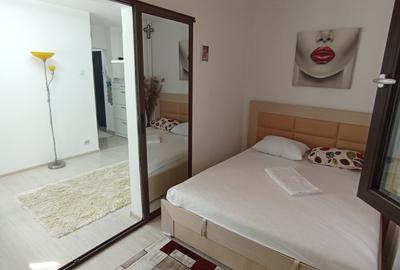 Apartament 2 camere Podu Ros-Cantemir, Renovat complet - 8