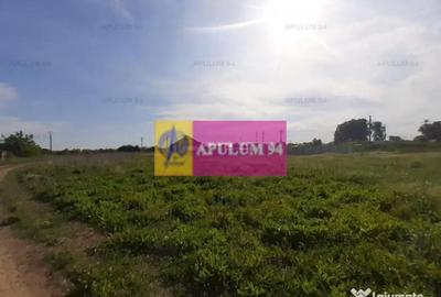Teren de 524 mp, în 1 Decembrie - 5