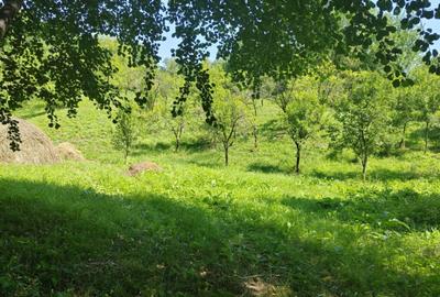 Teren de 1035 mp, în Central - 8