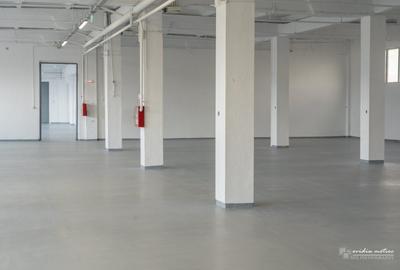 Spațiu industrial, 1213 mp în Someșeni - 3