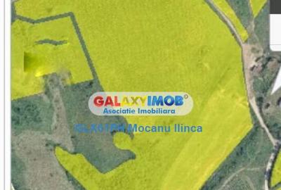 Teren 60000 mp, in Plopu, la 10 km de Ploiesti - 16